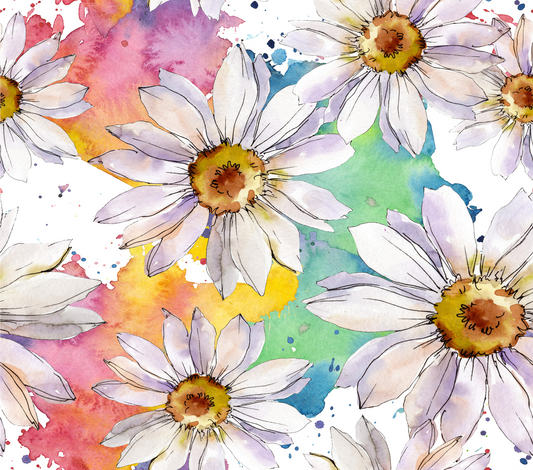 Rainbow Daisy