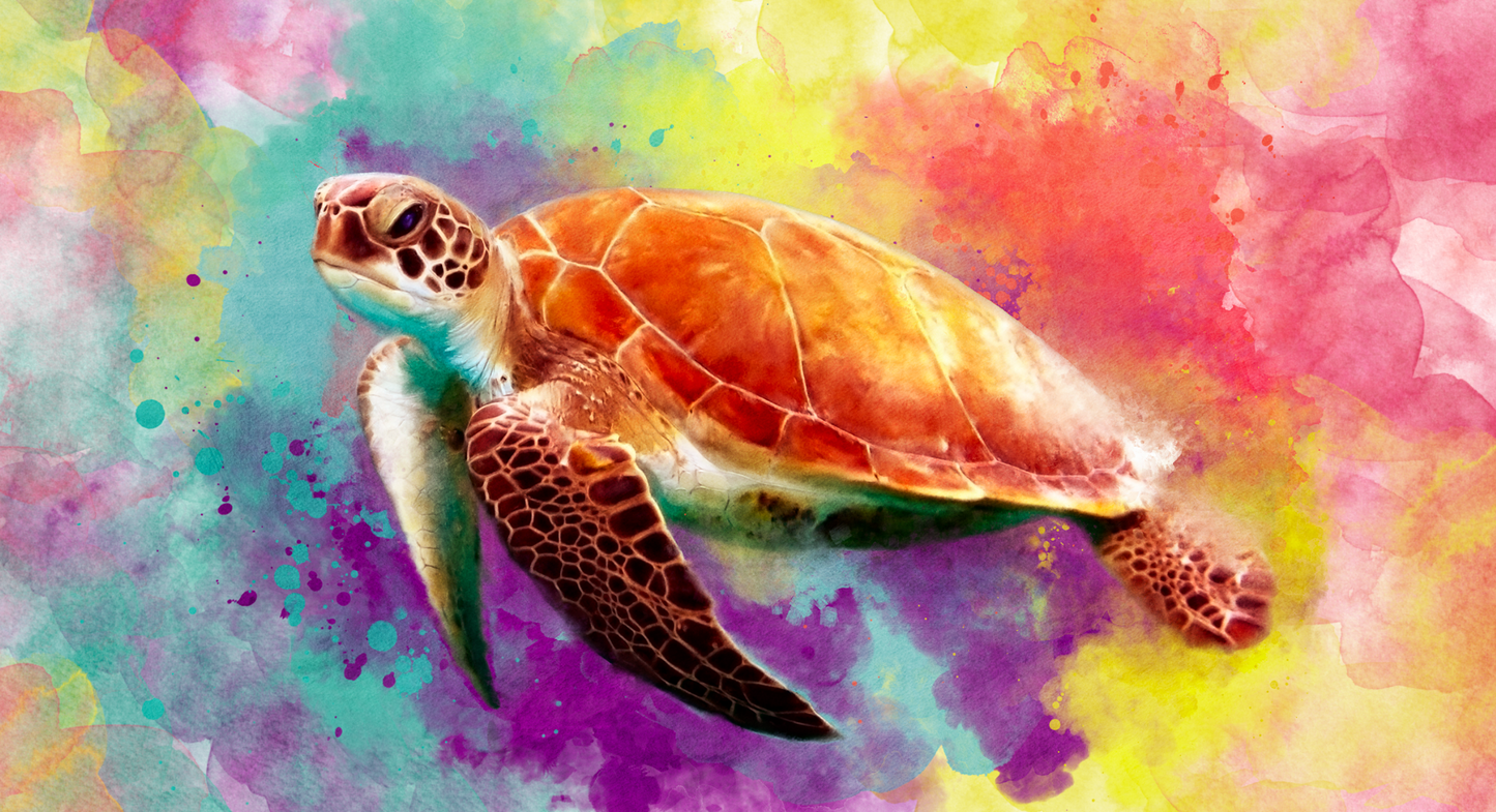 Rainbow Turtle